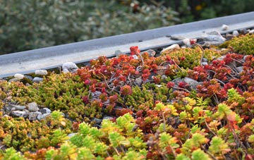 the cost of Chart Corner green roof installation