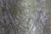 Chart Corner fibreglass roof work